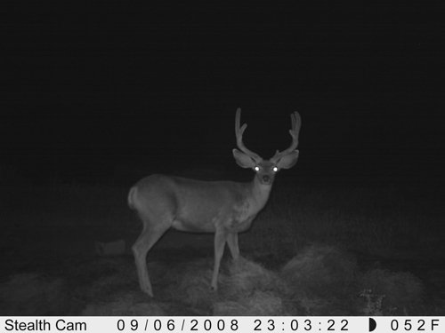 Property photo 31 - 7,320 Acres Offered in 5 Tracts
